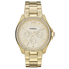 Uhrenarmband Fossil AM4482 Rostfreier Stahl Vergoldet 20mm